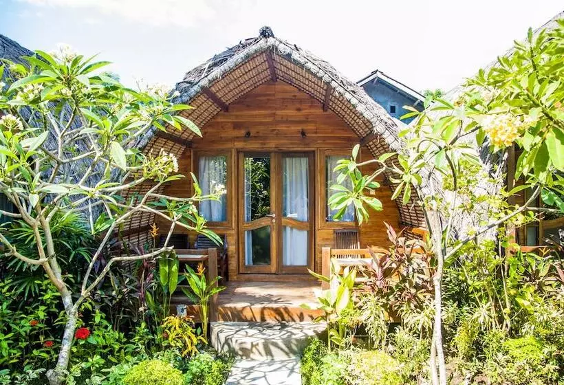 هتل Cotton Tree Cottages