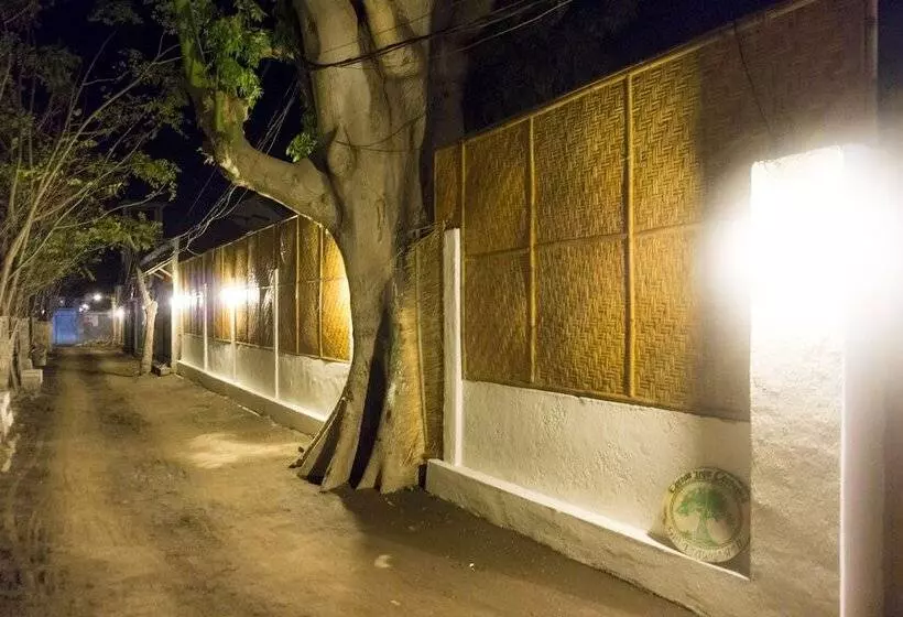 هتل Cotton Tree Cottages