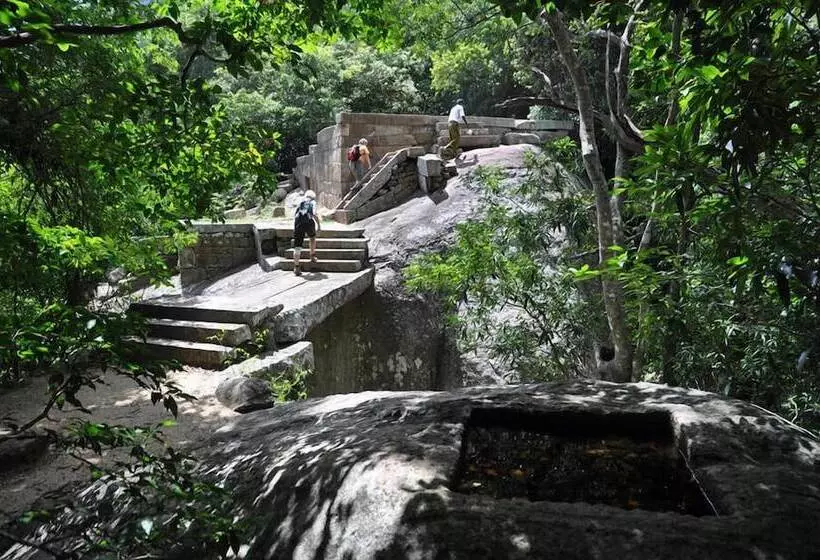 Hotelli Hungry Lion Sigiriya