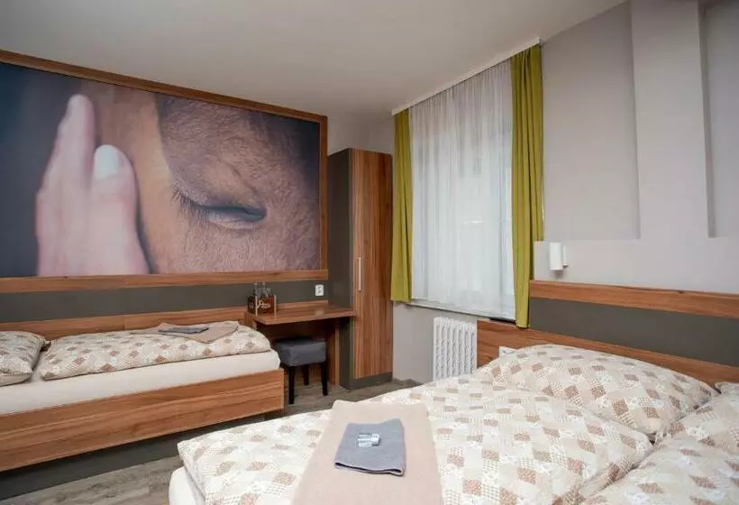 Hotelli U Koně