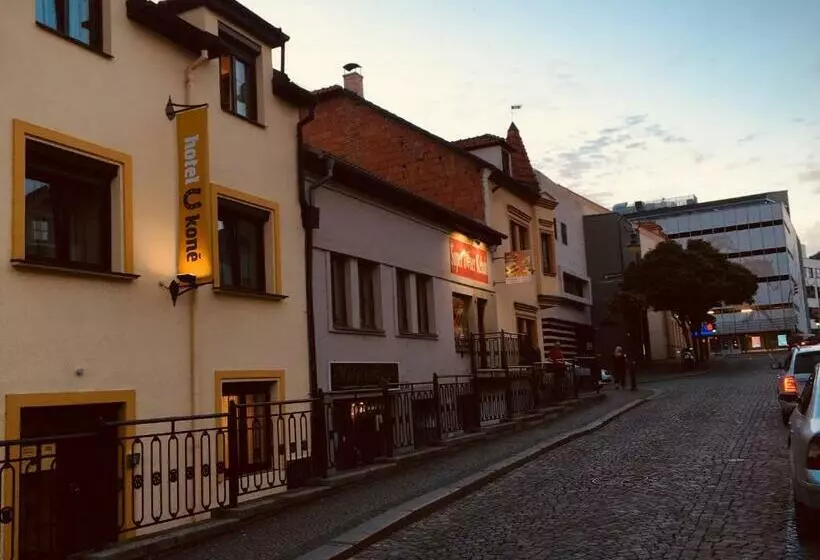 Hotelli U Koně