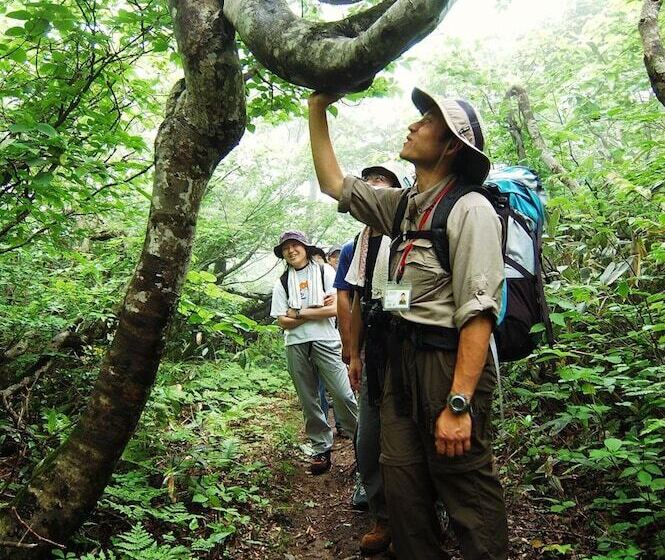 Pensjonat Guest House Maroudo
