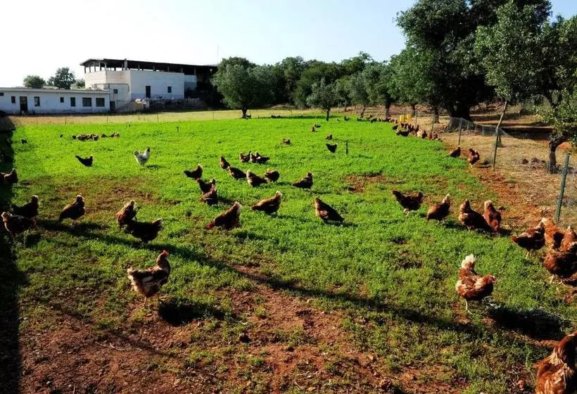 Agritria Di Umberto Anglisani