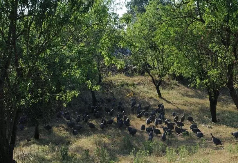 Agritria Di Umberto Anglisani