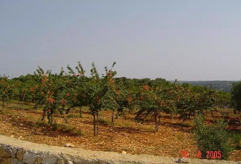 Agritria Di Umberto Anglisani