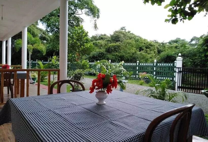 ペンション Jungle View Guest