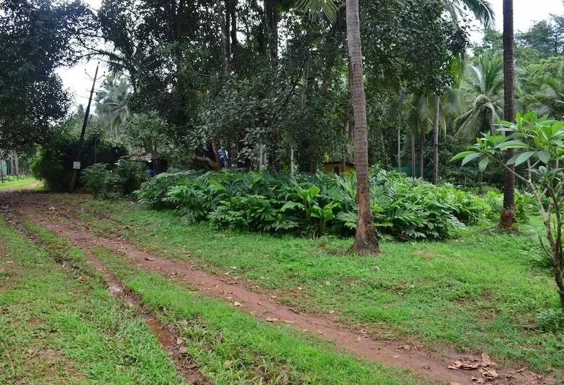 Majatalo Mangaal Farmstay Goa