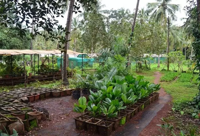 Majatalo Mangaal Farmstay Goa