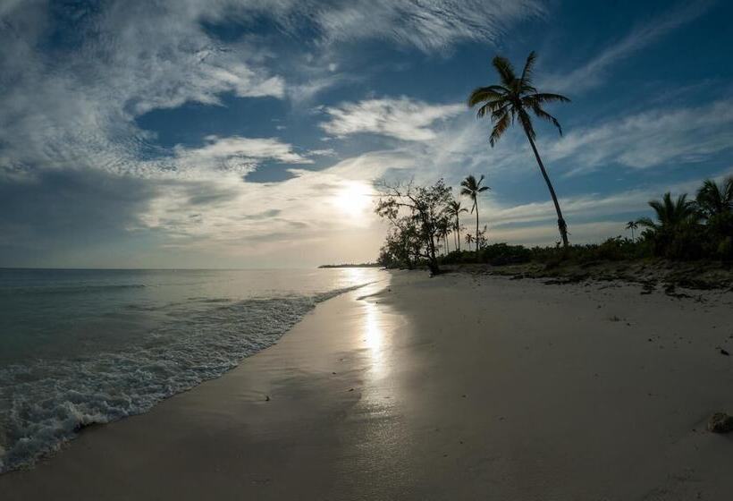 פנסיון Ulani Lodge