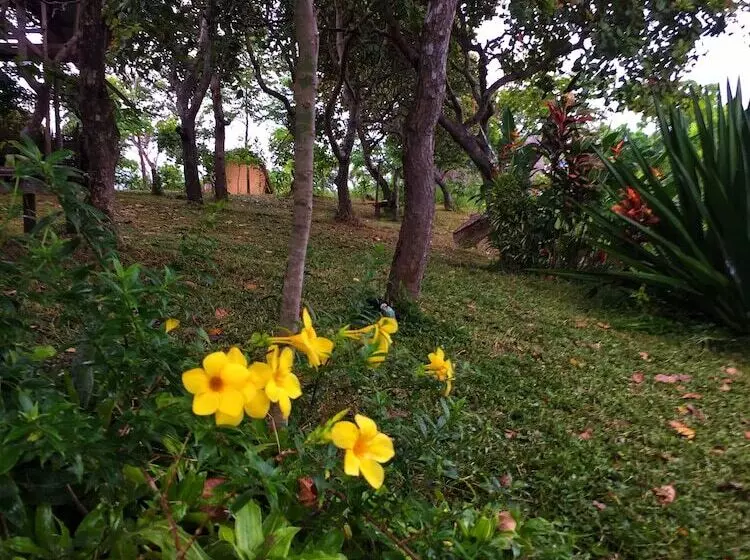 Majatalo Vue Grand Hilltop