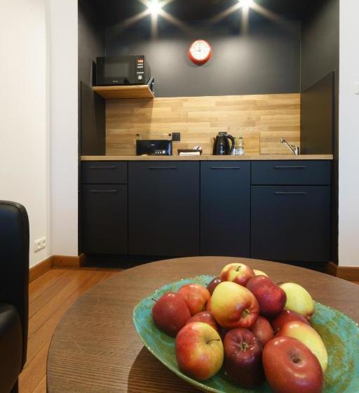 1 Night In Poznań  Matejki Apartments