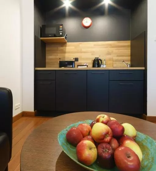 1 Night In Poznań Matejki Apartments