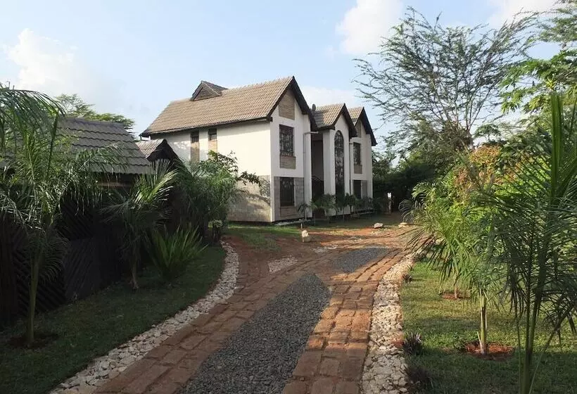 تختخواب و صبحانه Afrika Lodges