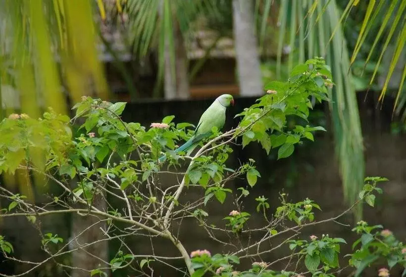 Majatalo King Coconut Lodge