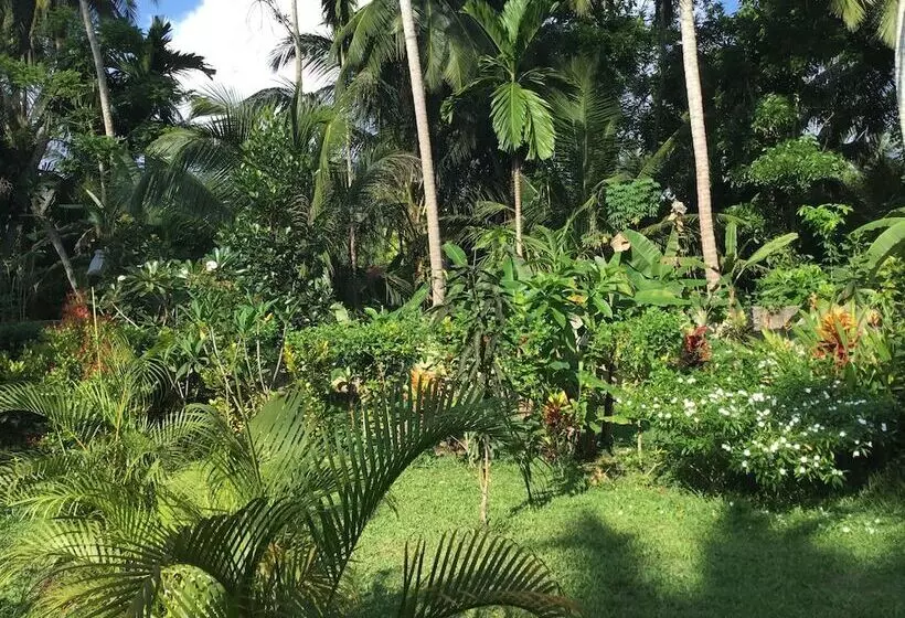 Majatalo King Coconut Lodge