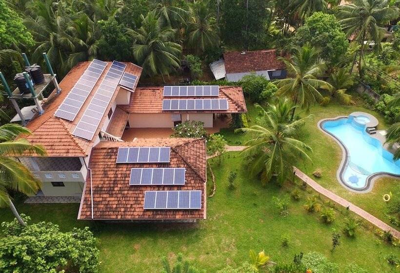 بنسيون King Coconut Lodge