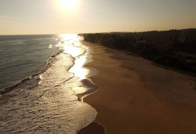 بنسيون King Coconut Lodge