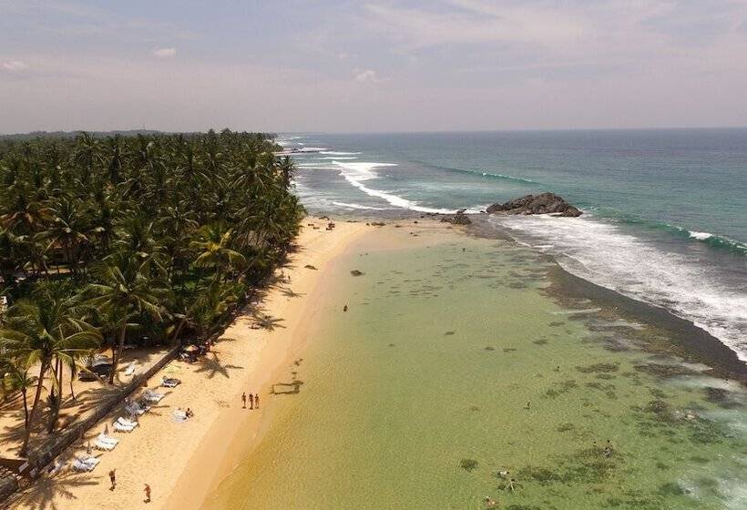 بنسيون King Coconut Lodge