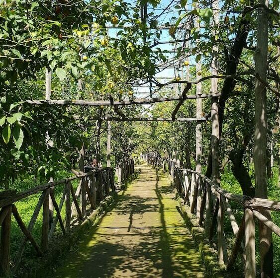 민박 Lemon Rooms Sorrento