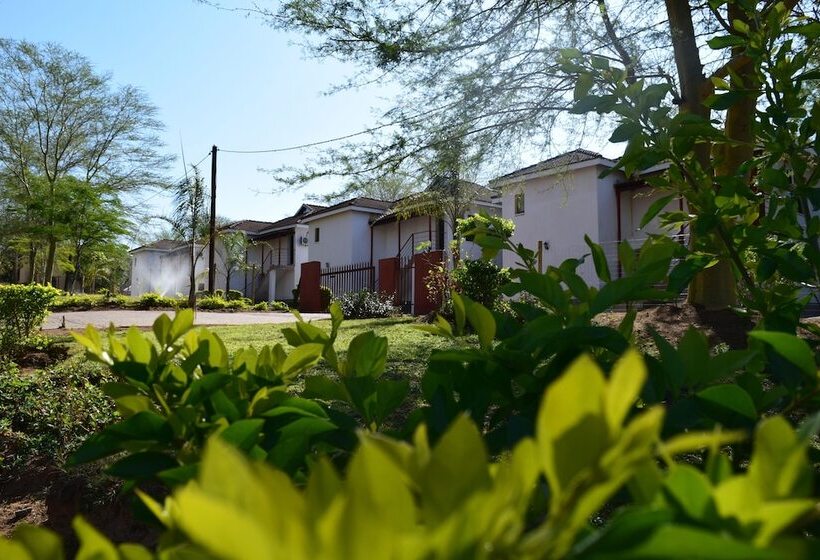 בית מלון כפרי Mthunzi Lodge