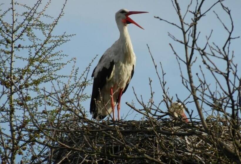 בית מלון כפרי Agroturystyka U Przyjaciol Soni