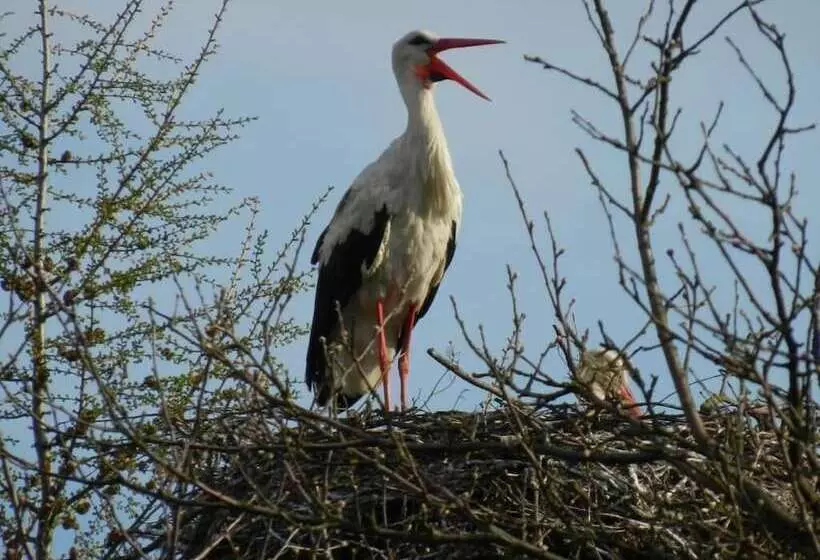 Maaseutuhotelli Agroturystyka U Przyjaciol Soni