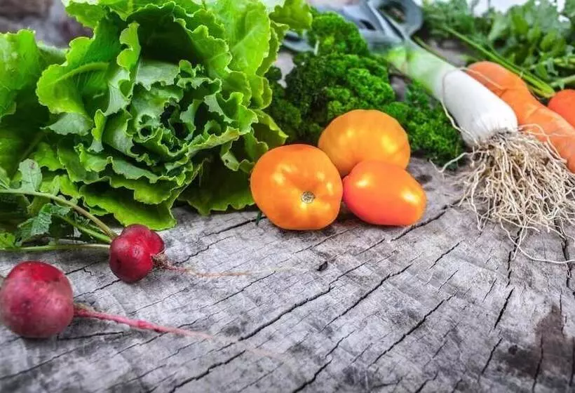 Maaseutuhotelli Agroturystyka U Przyjaciol Soni