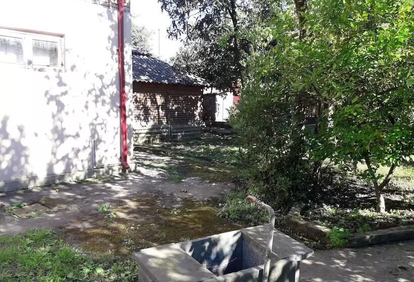 هاستل Cozy Home