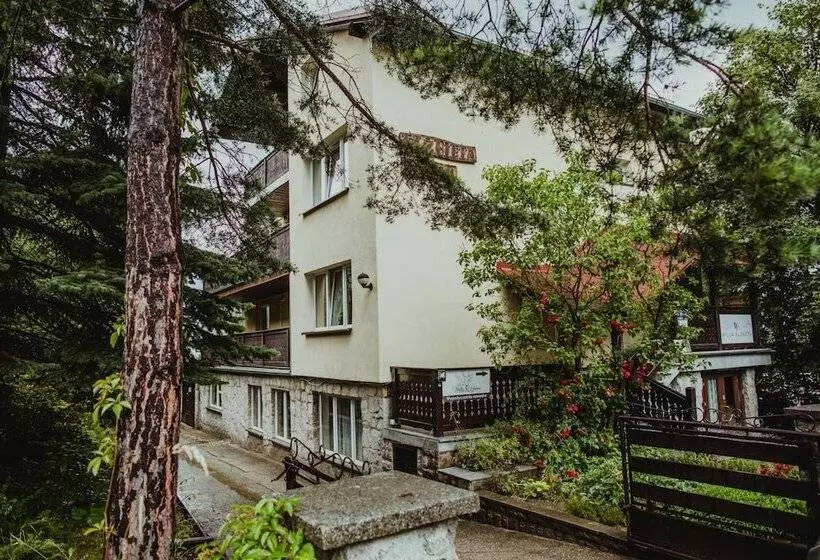 ベッドアンドブレックファースト Willa Elżbieta   Komfortowy Wypoczynek, Znakomite Recenzje Gości