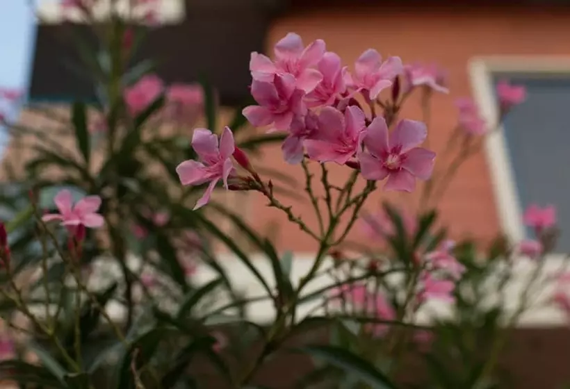 ホテル Kuzhupilly Beach House