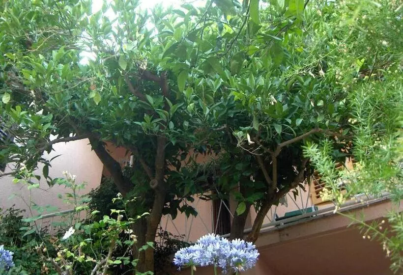 Majatalo Guest House Roza