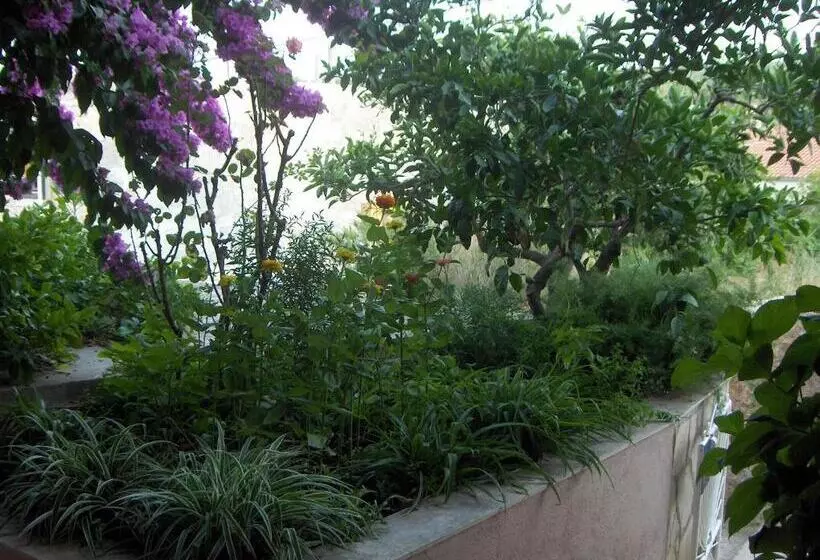 Majatalo Guest House Roza