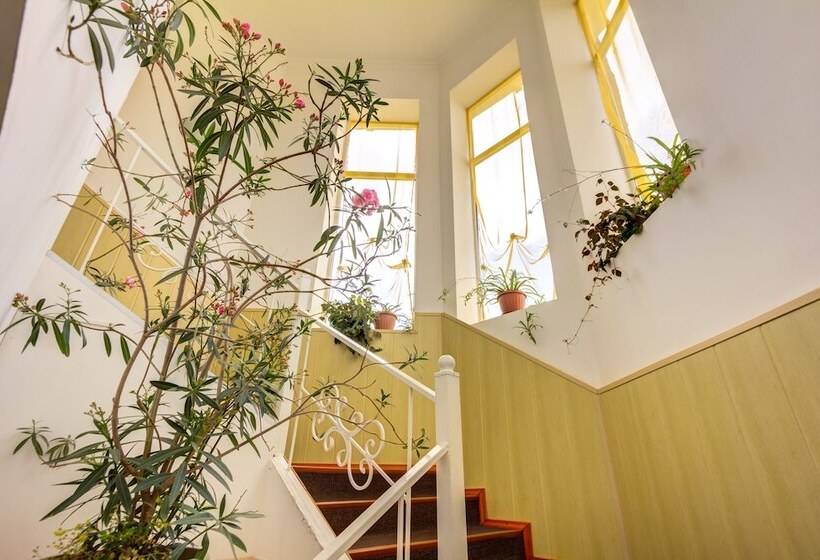 تختخواب و صبحانه Baytor Guest House