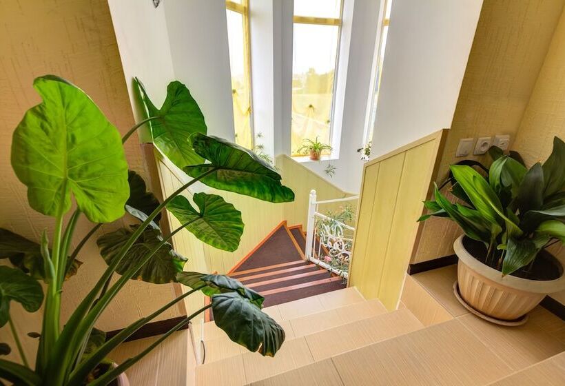 تختخواب و صبحانه Baytor Guest House