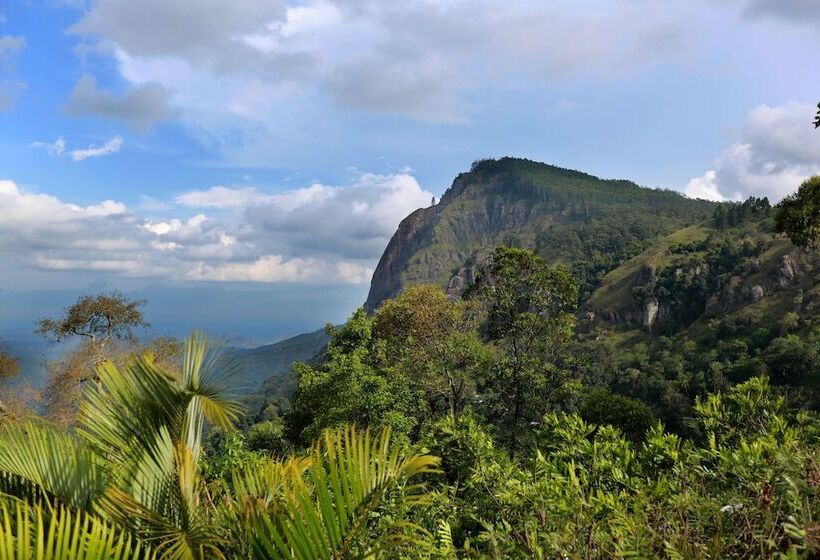 Bed and Breakfast Ever Green Mount