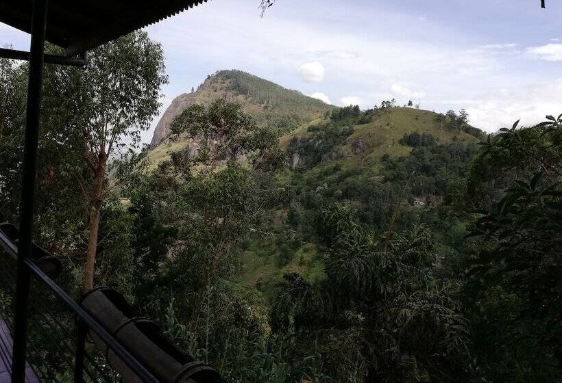 Bed and Breakfast Ever Green Mount