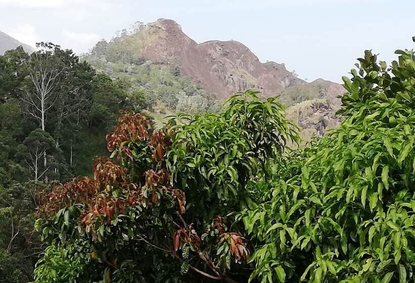 Bed and Breakfast Ever Green Mount