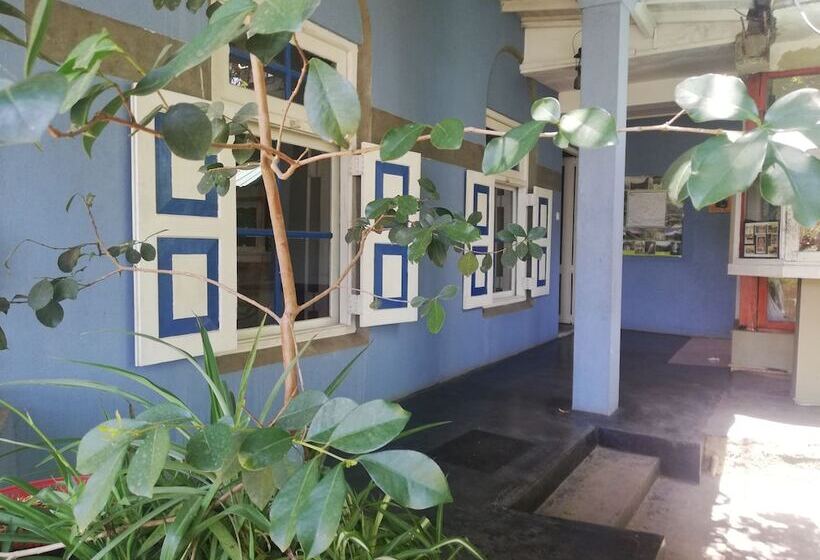 Bed and Breakfast Ever Green Mount