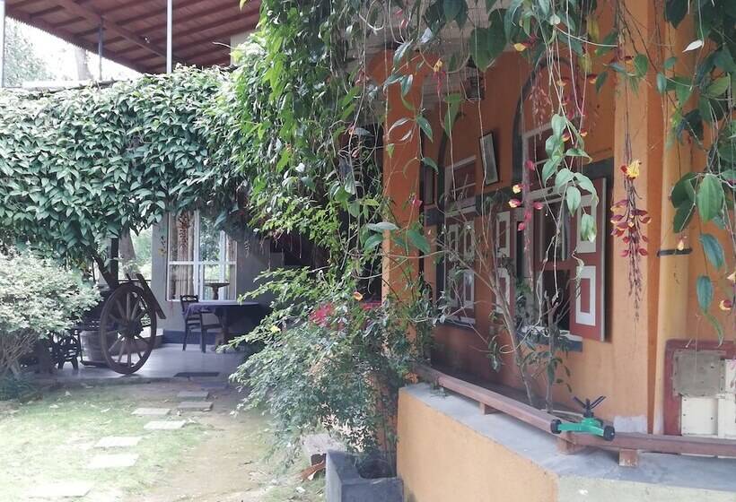 Bed and Breakfast Ever Green Mount