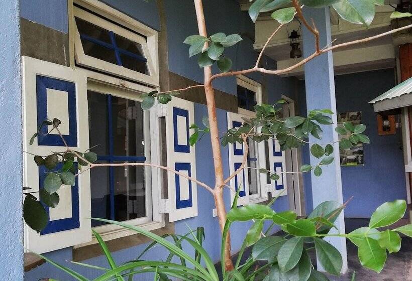 Bed and Breakfast Ever Green Mount