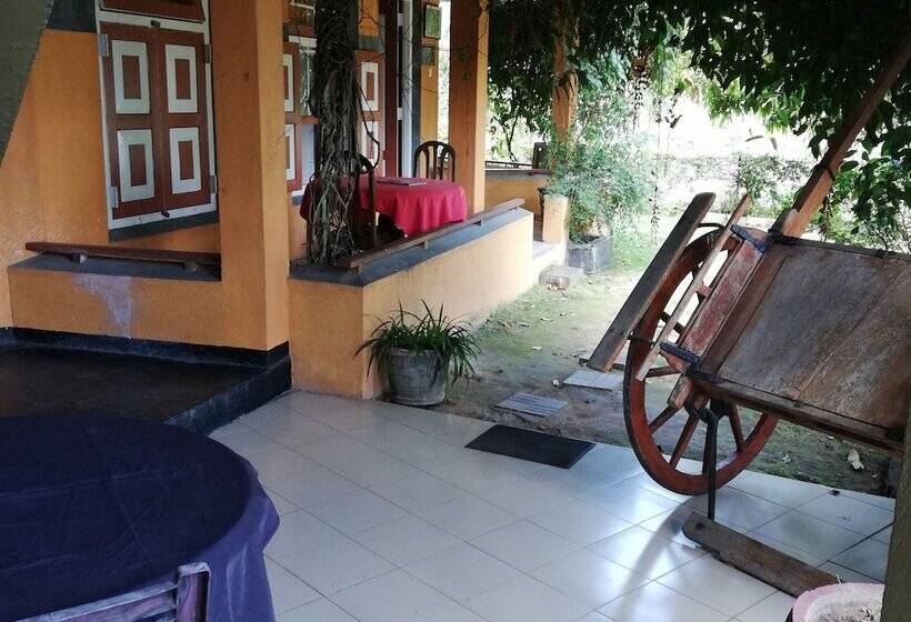 Bed and Breakfast Ever Green Mount