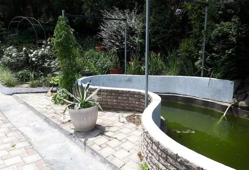 هتل Paradise