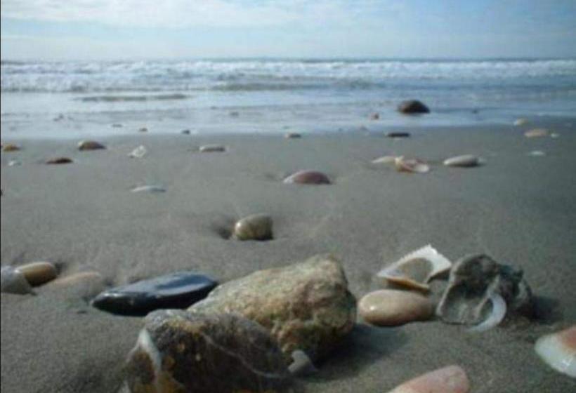 تختخواب و صبحانه Big Fish Alghero Guesthouse