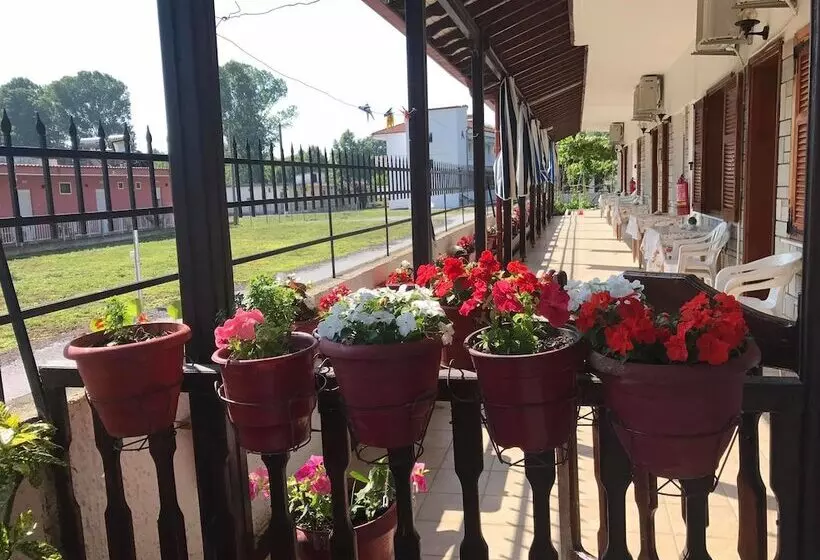 Cape Blue Apartments