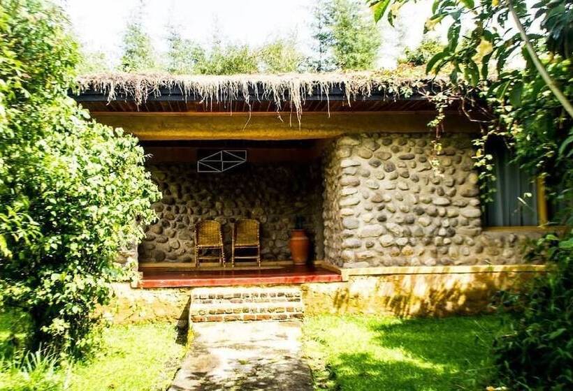 هتل Mountain Gorilla View Lodge