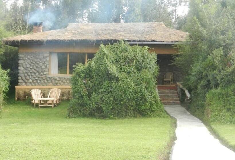 هتل Mountain Gorilla View Lodge