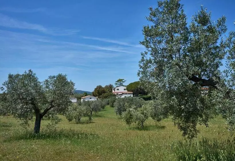 田舎風ホテル Agriturismo Tesorino