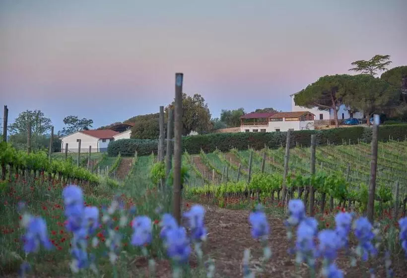 田舎風ホテル Agriturismo Tesorino