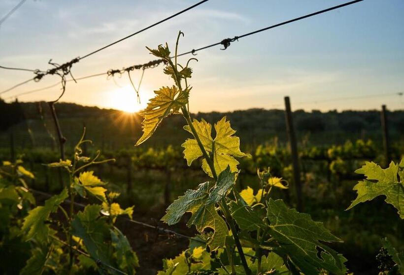 فندق ريفى Agriturismo Tesorino