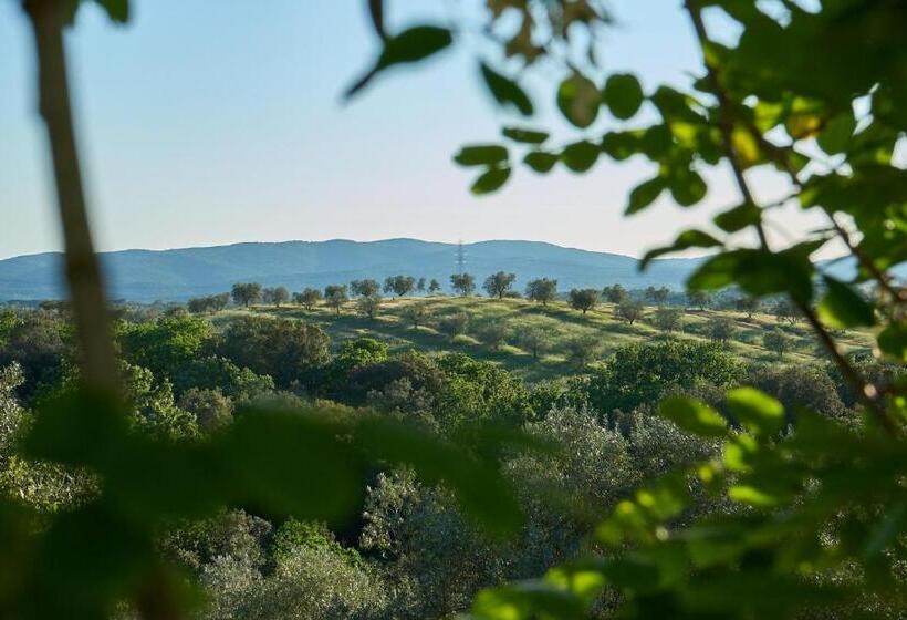 فندق ريفى Agriturismo Tesorino